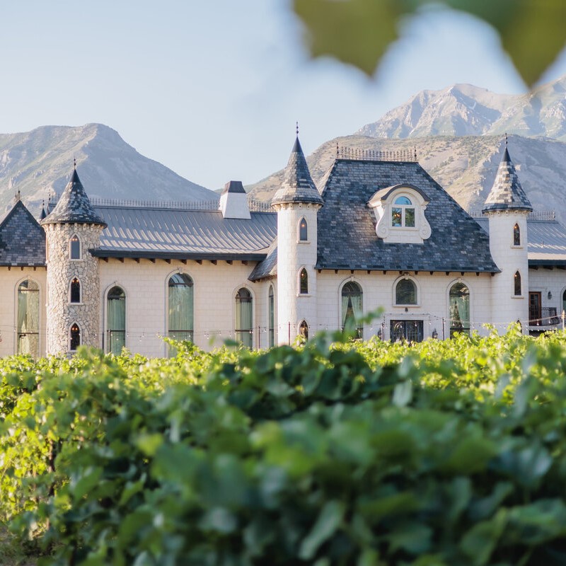 Partial Planning Image